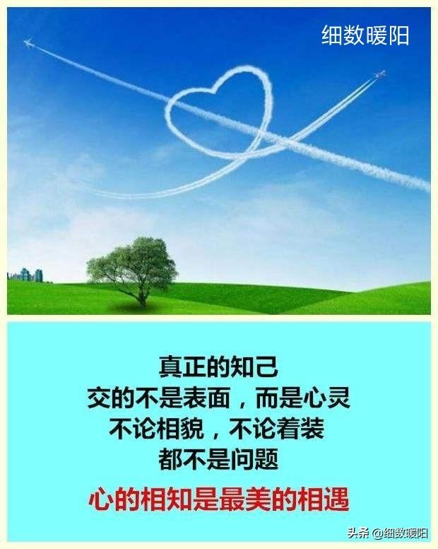 人生得一知己足矣不管同性异性你有这种感觉吗