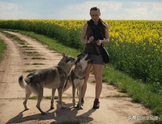 大型贝吉格里芬凡丁犬:世界上最珍稀的犬种有哪些？为什么？ 迷你贝吉格里芬凡丁犬