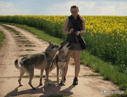 大型贝吉格里芬凡丁犬:迷你贝吉格里芬凡丁犬 世界上最珍稀的犬种有哪些？为什么？