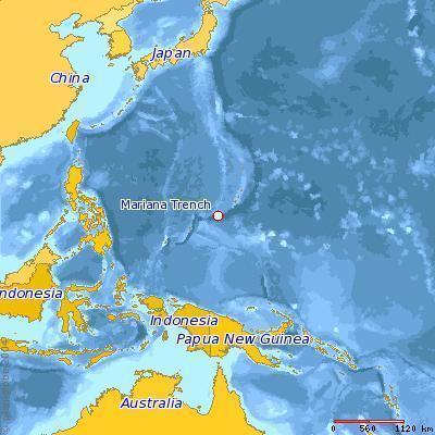 深海短吻狮子鱼图片:在马里亚纳海沟底部有鱼类生存吗？