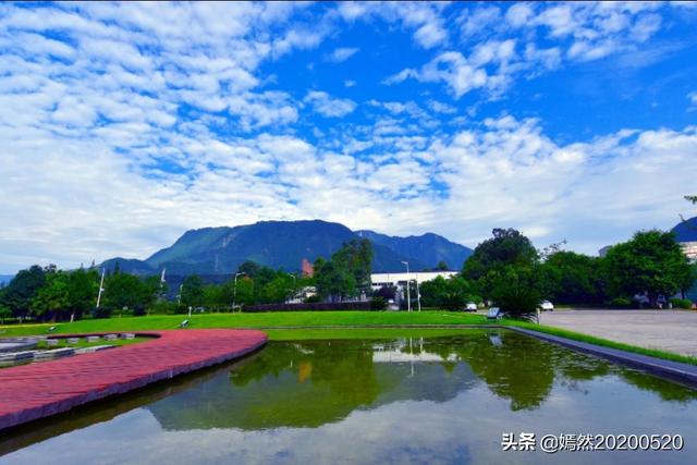 金铃花大图片:钱少，大三元镜头先入哪一枚？能否讲讲道理？