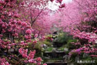 淡然,心静的昵称什么意思:古诗中经常出现的“东篱”是什么意思？如何理解它的含义？