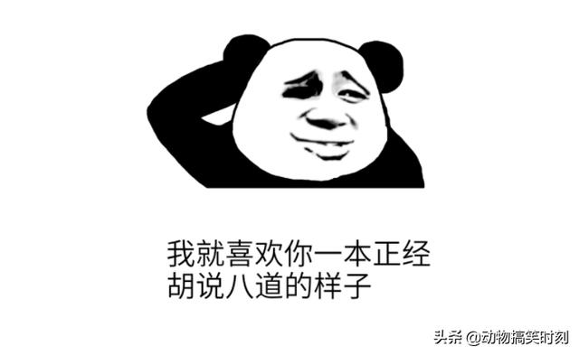 微信聊天搞笑段子:找了半天没有搞笑题目！你笑啥！搞笑细胞都来说段搞笑话题？(正能量搞笑段子笑趴你)