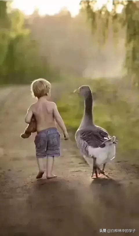 为什么有些人的占有欲很强呢？