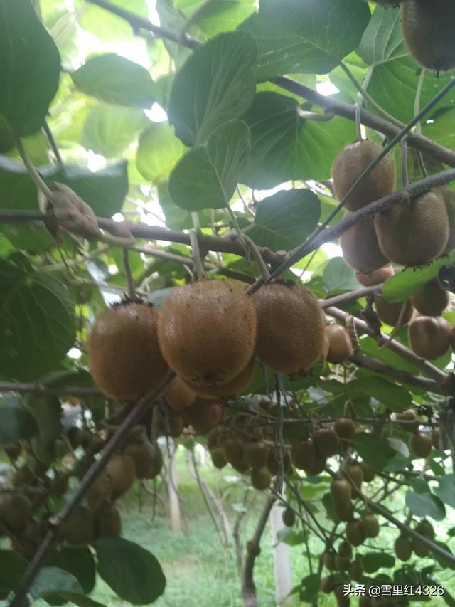 各位大神有没有好看的短篇小说推荐？