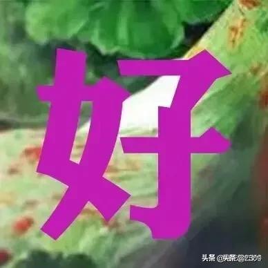 人到中年，你感悟最深的是什么？