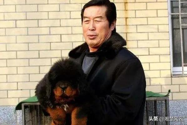 藏獒 杨志军 听书:养藏獒，培养王军霞等奥运冠军，70多岁的马俊仁现状如何？ 藏獒2杨志军