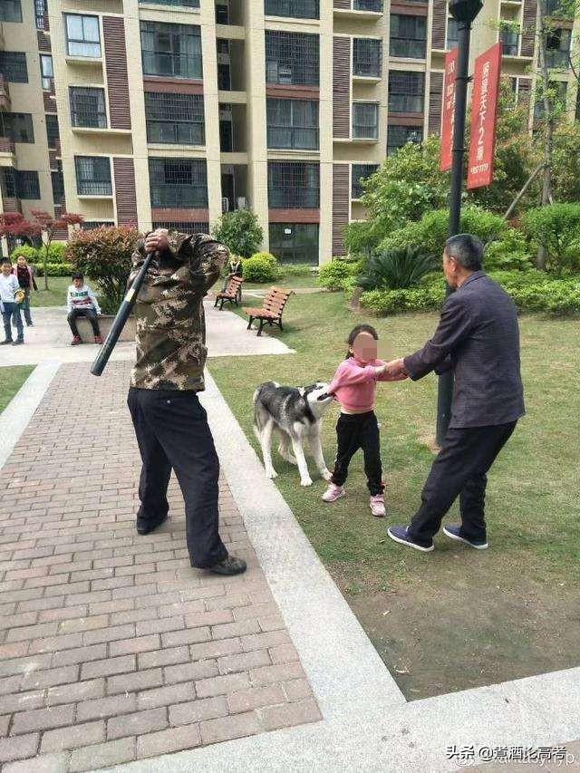 头条问答 张家界一小区 没拴绳狗咬一个女孩 保安赶到一棍砸死 你怎么看 高校专业那些事的回答 0赞