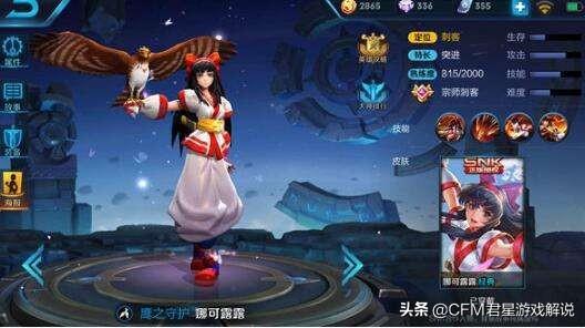 王者荣耀新手想玩刺客玩谁？