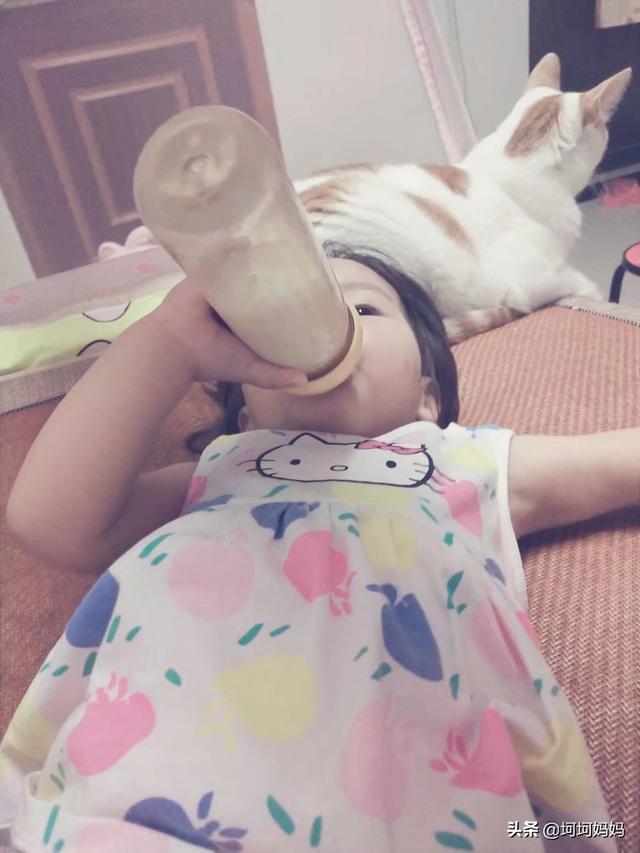 如何与宠物安全相处:宠物与宝宝该怎么去相处？ 如何与宠物相处安全教案