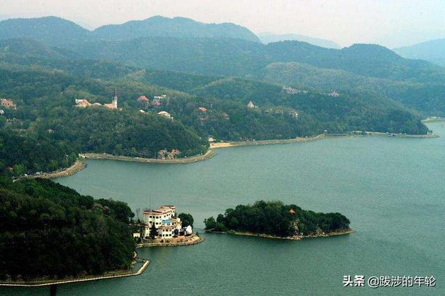 宠物旅行最佳搭配:带狗狗出游需要注意什么呢？