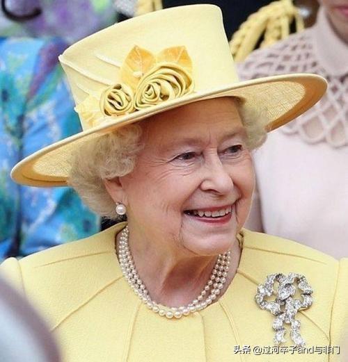英国女王的狗狗:宠物纠纷，狗狗咬死了别人家的狗狗。我该怎么处理？
