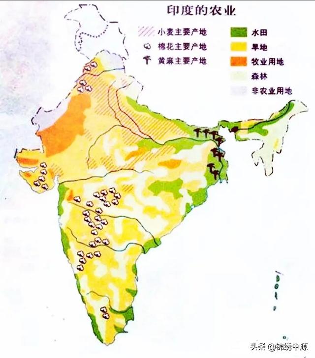 新疆占据国土多大面积，印度国土面积，只有中国的31%，为何能够养活13亿多人