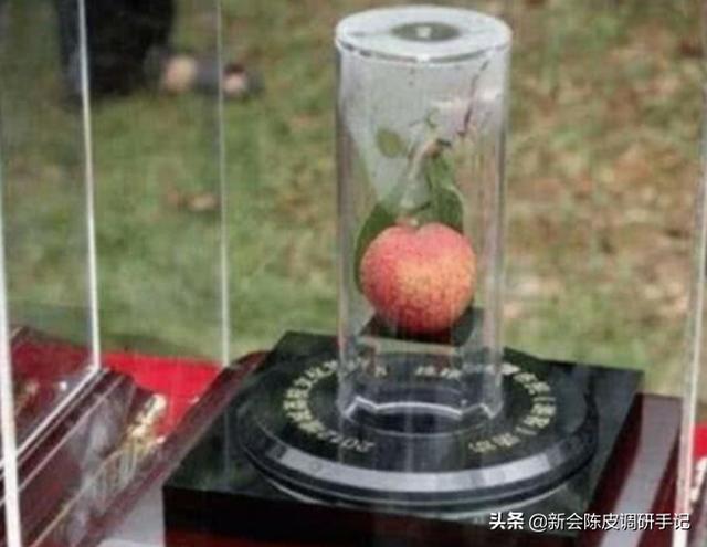 西园寺公一:除了福原爱，石川佳纯，伊藤美诚会成为下一个中国人喜欢的人吗？