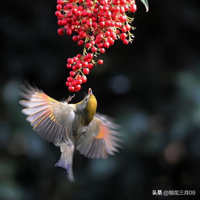 李龟年:王维用红豆作诗一首，李龟年读后为何郁郁而终？
