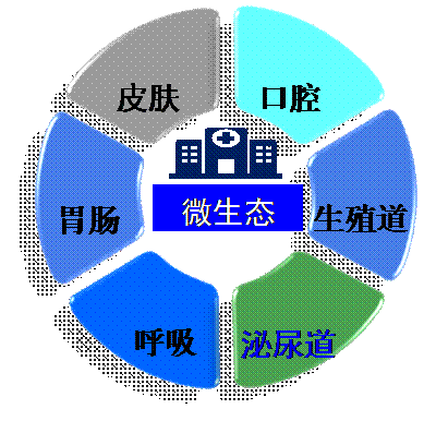 微生态菌群内裤:肠道微生态失衡有哪些危害？