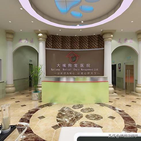 金毛尿频吃什么消炎药:猫咪这两天频繁去厕所，还尿不出来，应该吃什么药？