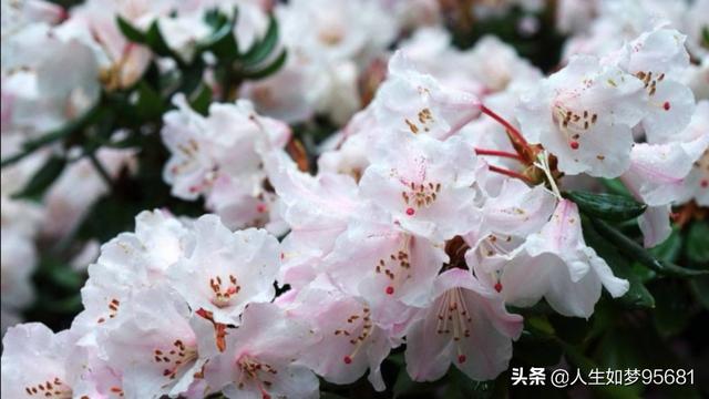 你去过哪些非常小众却又特别美的景点？插图68