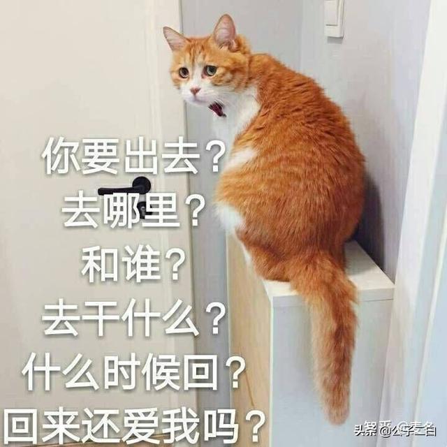 有哪些可以哄男朋友开心的表情包