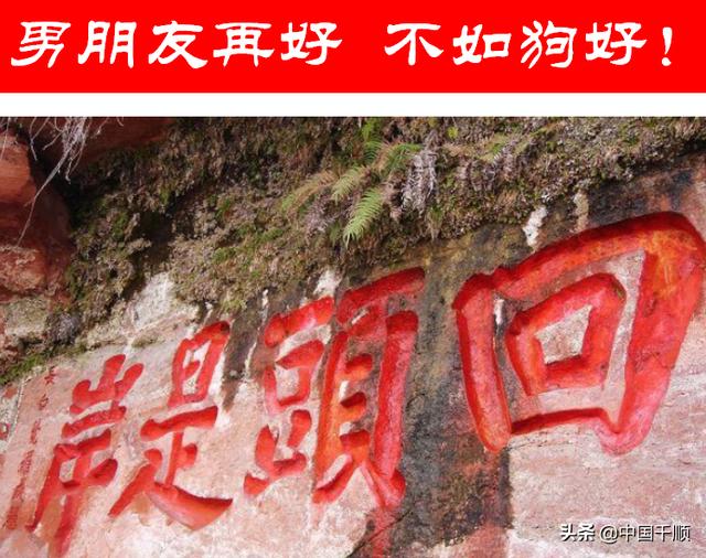 一群90后街头活剥小狗:为什么有人觉得现在的流浪狗比较多？