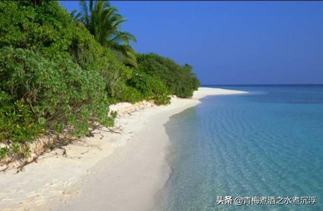 杨旭简介:“我们可以卑微如尘，但不可扭曲成蛆”，怎样理解