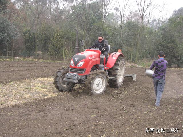 葡萄种植技术大全:葡萄怎么种植效果好 葡萄树怎么管理可以高产？