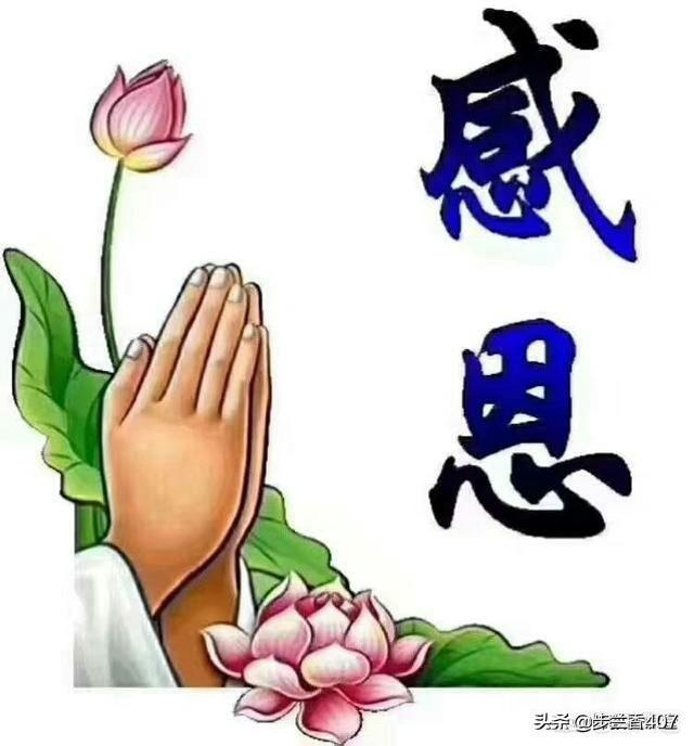 时至年未在头条上写作的你有什么想对你的读者说的