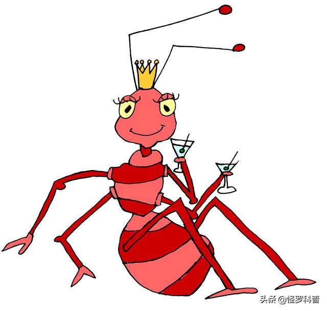 蚁后,雄蚁和工蚁,有些种类的蚂蚁中,还有上腭比较发达的兵蚁