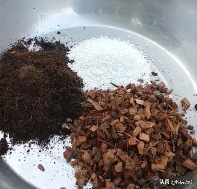 小狗种美丽鲜花下载:家里养的花太多，怎么给每种花规划施肥和浇水时间？