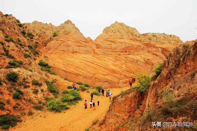 中卫蒙古包的资料:中卫市沙漠露营选择哪里好？