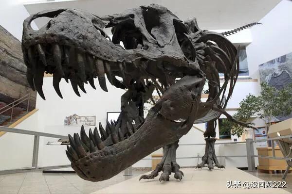 中国第一个发现活恐龙的人，中国第一具恐龙化石在哪个博物馆