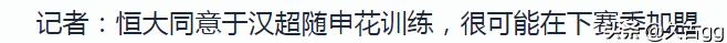 卡巴纳美洲狮俱乐部:记者：于汉超试训申花由李帅牵线，为什么不选择加盟大连人？