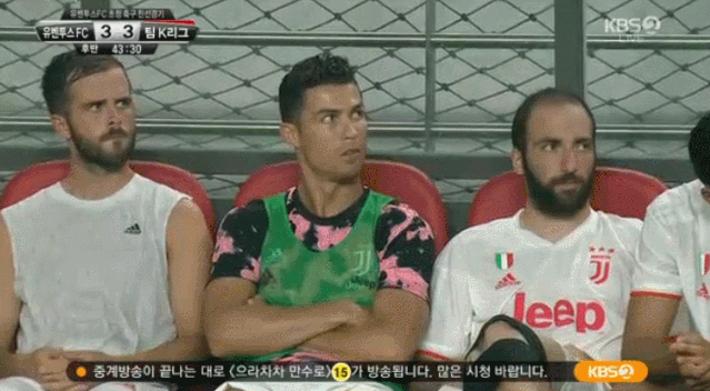 萌物哥伦比亚侏儒兔:为什么感觉很多人讨厌韩国？