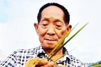 王进喜简介:中国各个领域都有哪些厉害的人，他们都有哪些贡献，有怎样的故事