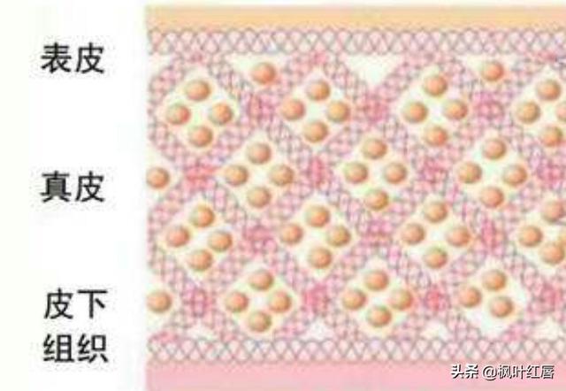 水解胶原纤脸面膜胶(水解胶原精华面膜)