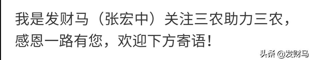 2019年白鹇鸡养殖视频:农村养殖散养鸡选什么品种好、利润高呢？