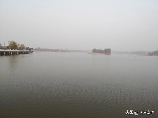 中国绿茶的排名,前四位你认为有哪些？