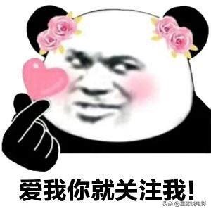 露莎莉斑马纹保暖背心:秋冬季节可以选择什么样的连衣裙？