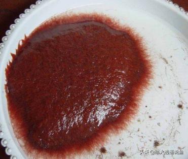 霓虹燕子鱼吃什么东西:火焰变色龙鱼可以和霓虹燕子混养吗？