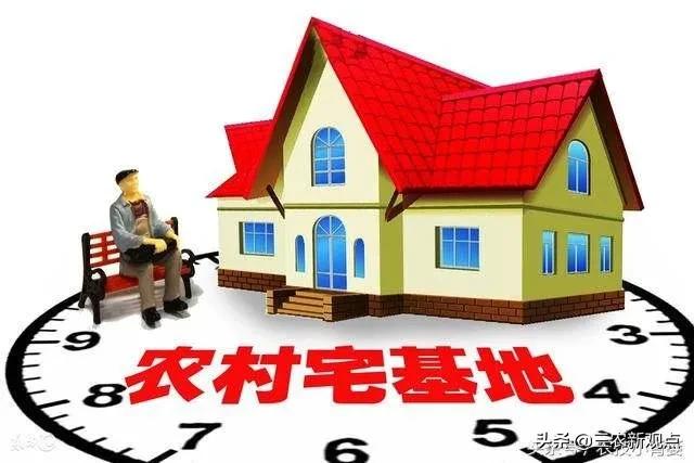 鸟音下载一中华媒鸟论坛:麻雀天天在我的窗前谈恋爱，我是给它们做个窝还是琢磨给轰走呢？