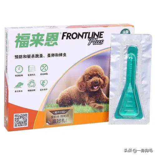 福来恩:大宠爱使用不当会导致猫脱毛吗？