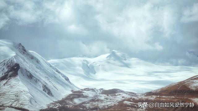 玄冥二老的师父百损道人武功如何？是否跟张三丰交过手？