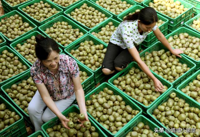 什么能快速赚钱，急缺钱，干什么能一个月赚4万