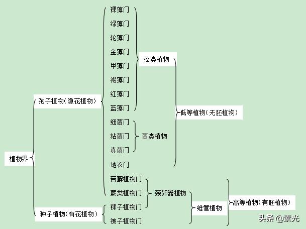 植物大概可以分为哪几大类 太平洋在线下载 兀峰信息科技