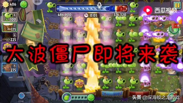 缰绳来袭2攻略:植物大战僵尸2超Z联赛如何得高分？
