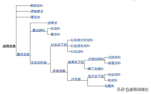 鸟:从“牙尖嘴利”到“无齿之徒”，鸟类到底经历了什么？