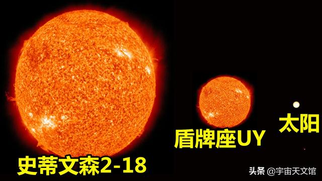 巨型海蜘蛛有哪六种:巨型海蜘蛛是什么 宇宙中的最大天体有多大？