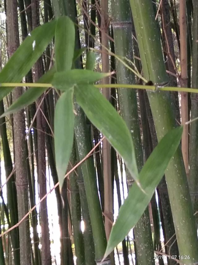 早上吸引<a href=https://maguai.com/list/256-0-0.html target=_blank class=infotextkey>朋友圈</a>的句子图片:清晨美好的祝福语有哪些？