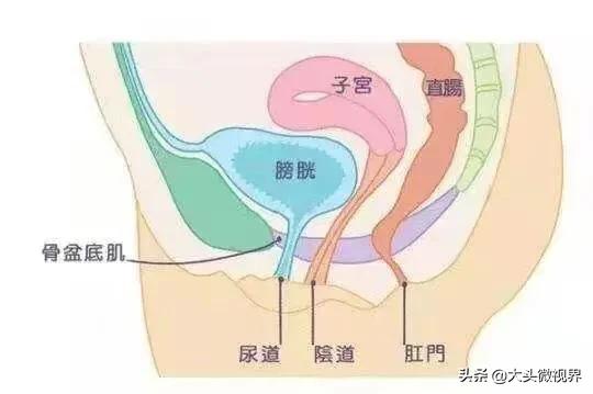 盆底肌锻炼时要如何控制呼吸？