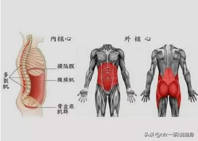 头条问答 悬垂举腿有什么利弊 Mr一蔡i说健身的回答 0赞